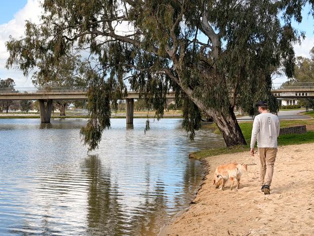 Photo 3 for Stroll around Lake Forbes