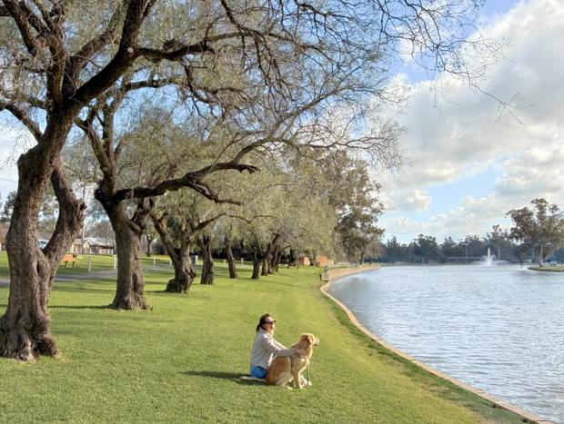 Photo 2 for Stroll around Lake Forbes