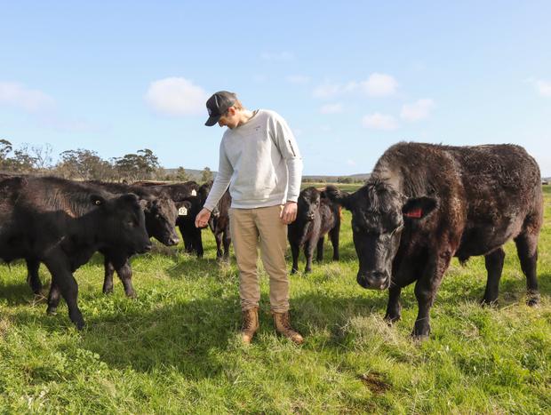 Photo 39 for Silo Sanctuary: A Cosy Farm Stay
