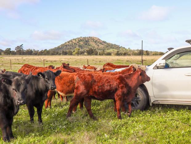 Photo 38 for Silo Sanctuary: A Cosy Farm Stay