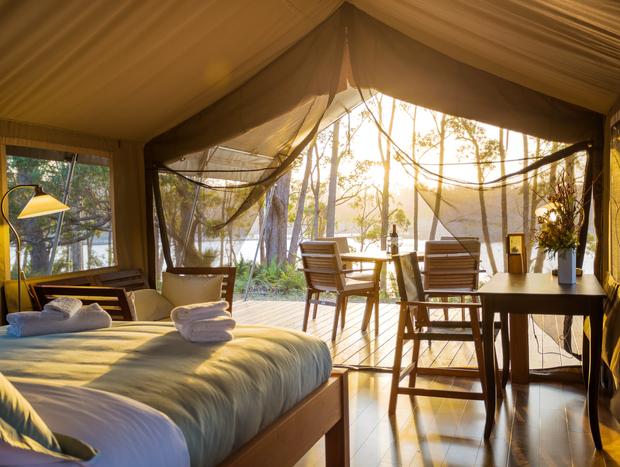 Photo 1 for Safari Tent - Melaleuca
