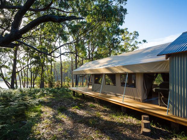 Photo 1 for Deluxe Safari Tent - Spoonbill