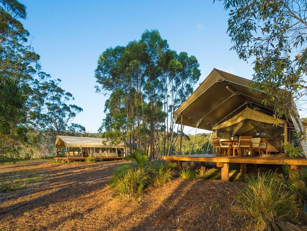 Photo 1 for Deluxe Safari Tent - Lomandra