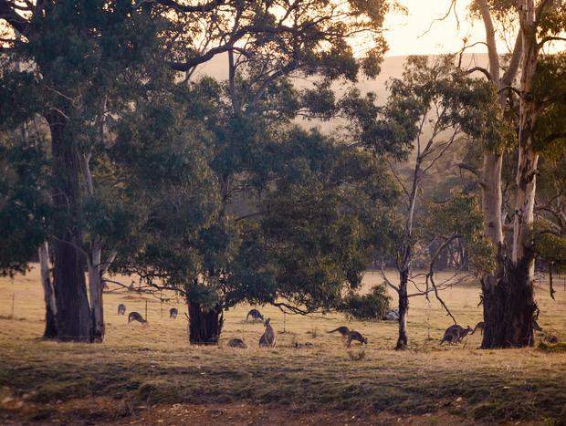 Photo 2 for Spot the local wildlife