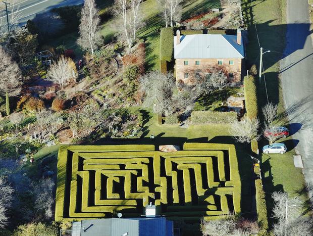 Photo 2 for Historical Harper's Mansion hedge maze