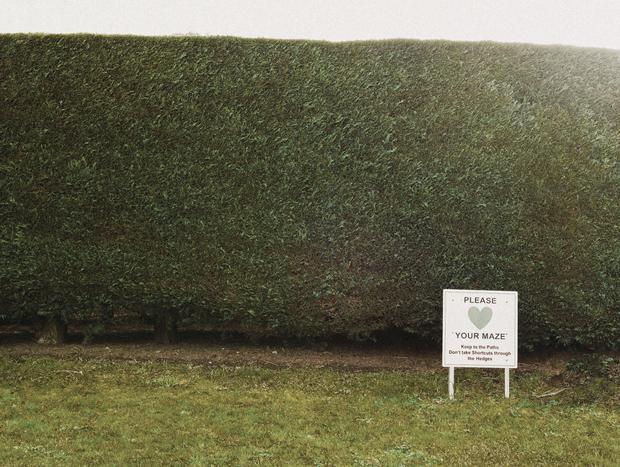 Photo 3 for Historical Harper's Mansion hedge maze