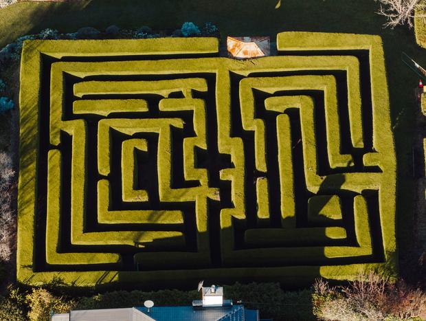 Photo 1 for Historical Harper's Mansion hedge maze