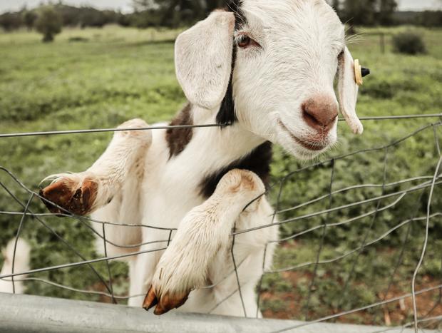 Photo 4 for Silo Sanctuary: A Cosy Farm Stay