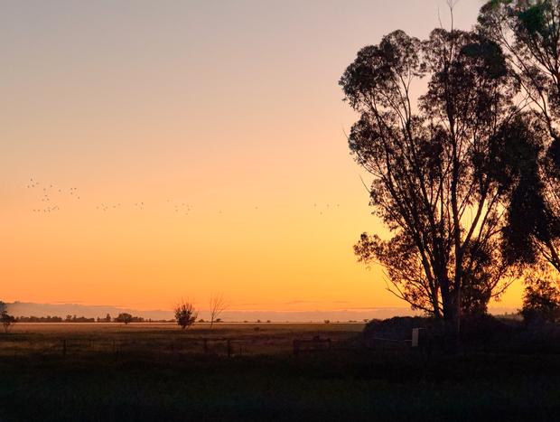 Photo 20 for Silo Sanctuary: A Cosy Farm Stay