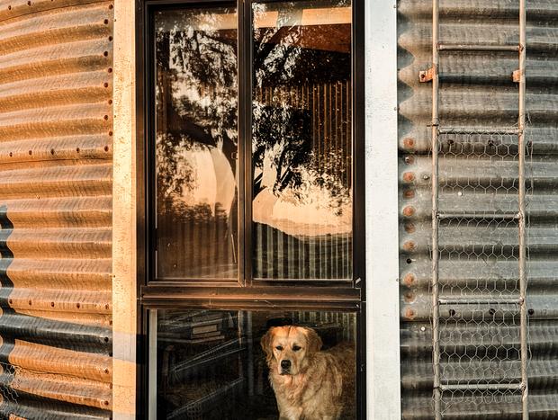 Photo 10 for Silo Sanctuary: A Cosy Farm Stay