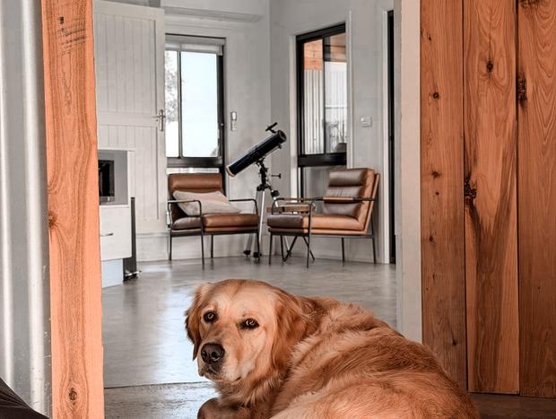 Photo 12 for Silo Sanctuary: A Cosy Farm Stay