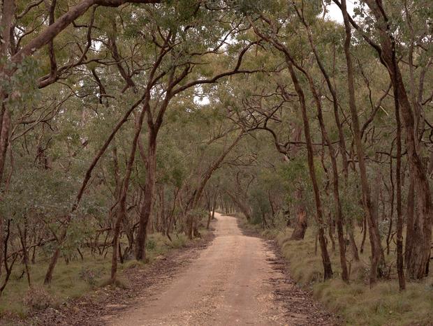 Photo 15 for Peace and Quiet in Metcalfe