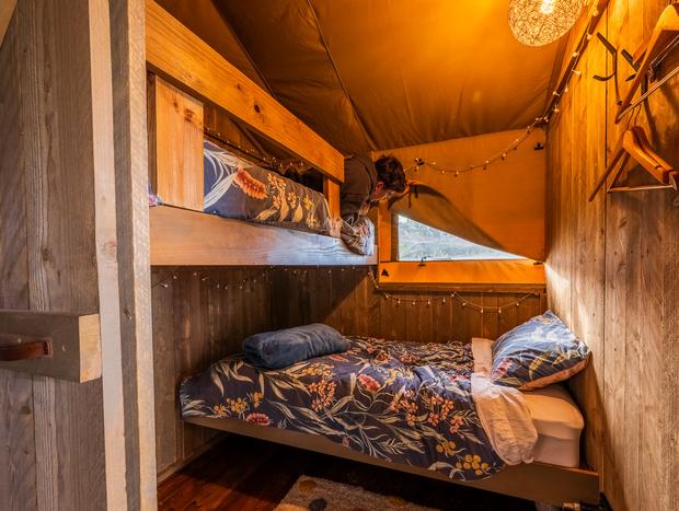 Photo 7 for A Safari Stay to Remember