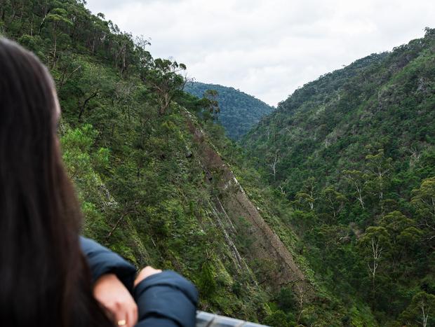 Photo 1 for Valley Views at Strath Creek Falls