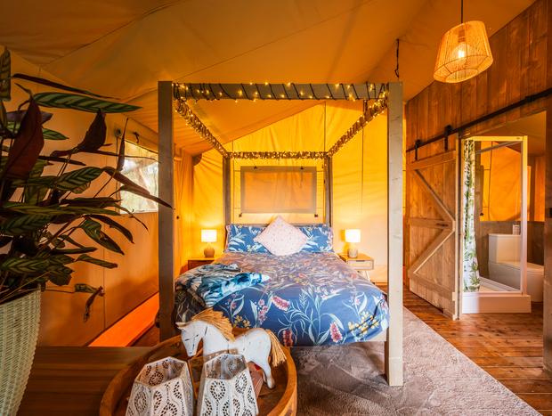 Photo 9 for A Safari Stay to Remember