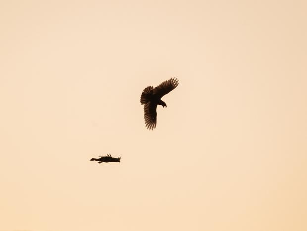 Photo 7 for undefined