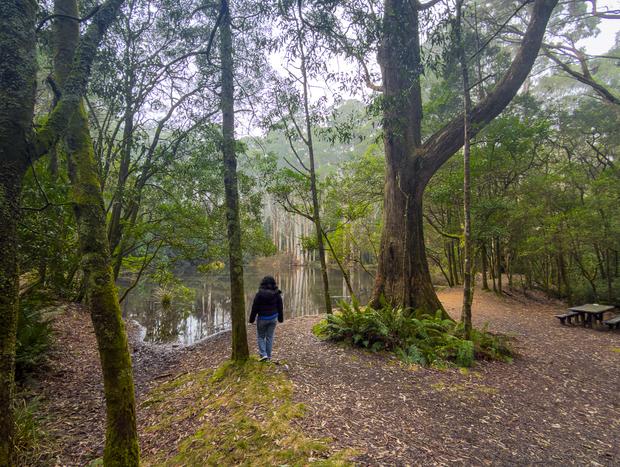 Photo 1 for Slowing Down at Sanatorium Lake