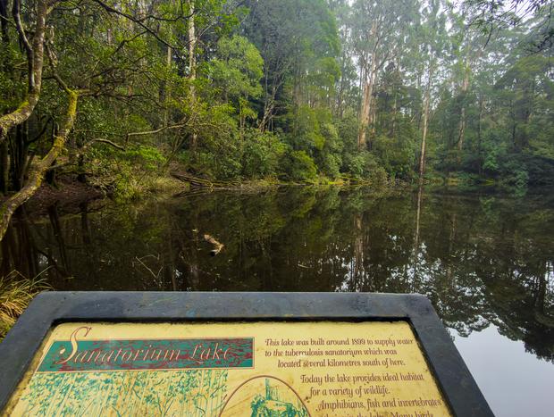 Photo 2 for Slowing Down at Sanatorium Lake