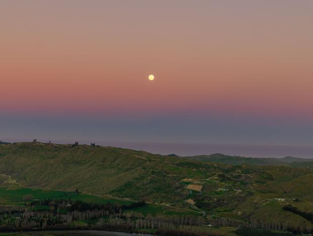 Photo 3 for Te Mata Peak