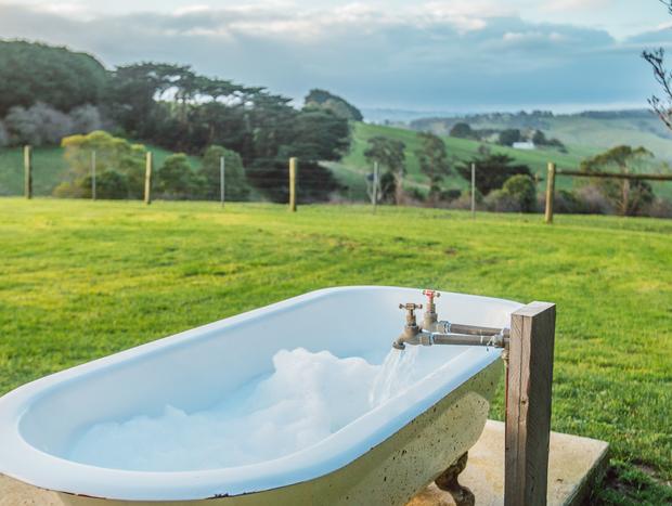 Photo 36 for Confirmed. The Grass is Greener in Gippsland