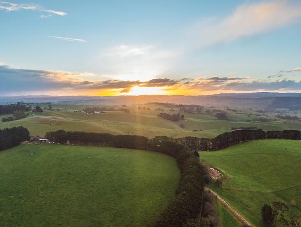 Photo 35 for Confirmed. The Grass is Greener in Gippsland