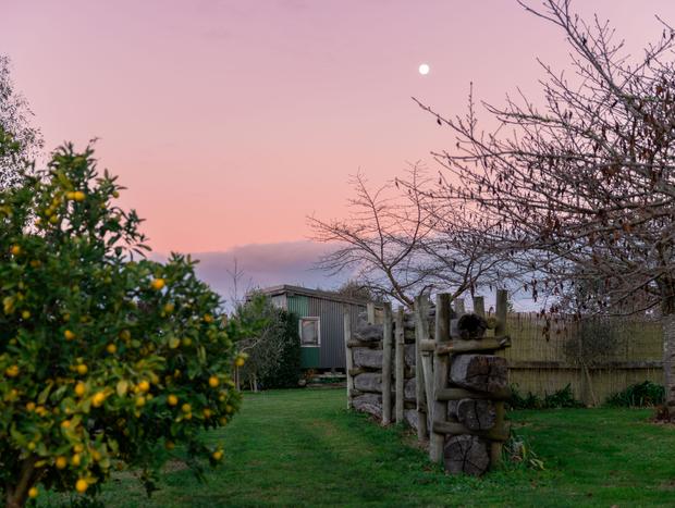 Photo 20 for A Rustic Escape in Hawke’s Bay