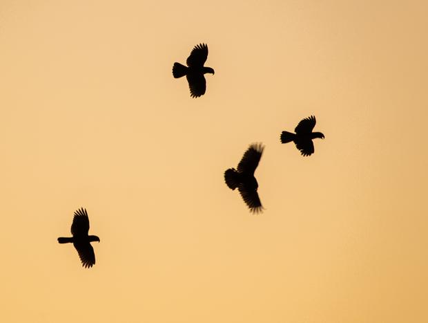 Photo 27 for Birdsong, Bikes & Outdoor Baths