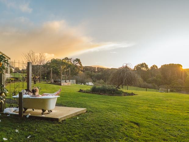Photo 3 for Confirmed. The Grass is Greener in Gippsland