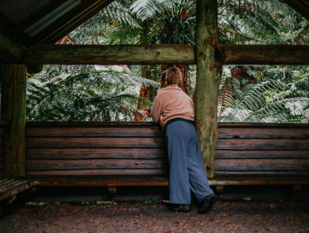 Photo 2 for Cyathea Falls & Nature Walk