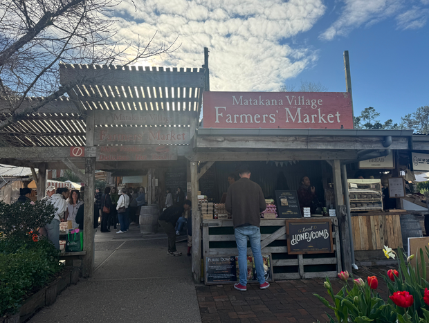 Photo 3 for Matakana Markets