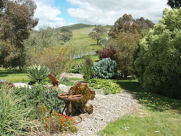Photo 11 for Millduck Strawbale B&B ... Hideaway in the Hills with Alpacas