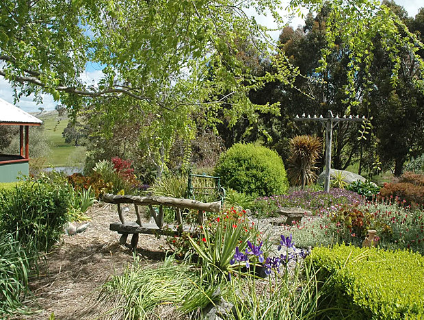 Photo 13 for Millduck Strawbale B&B ... Hideaway in the Hills with Alpacas