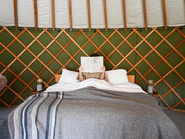 Photo 7 for Countryside and comfort in Matakana