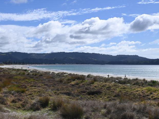 Photo 21 for Countryside and comfort in Matakana