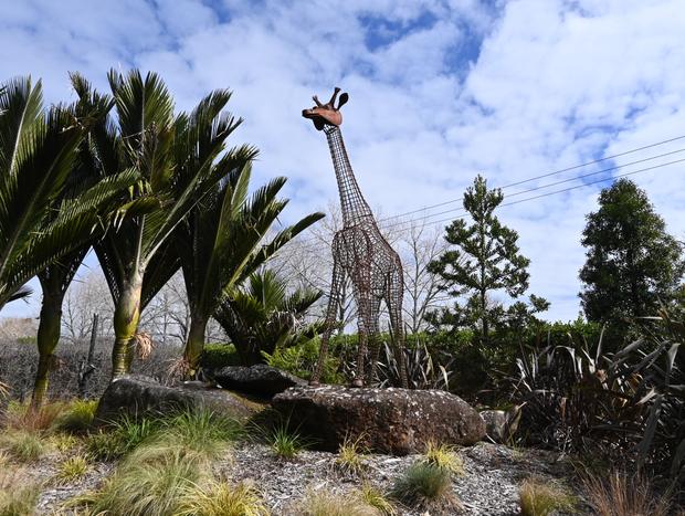 Photo 24 for Countryside and comfort in Matakana