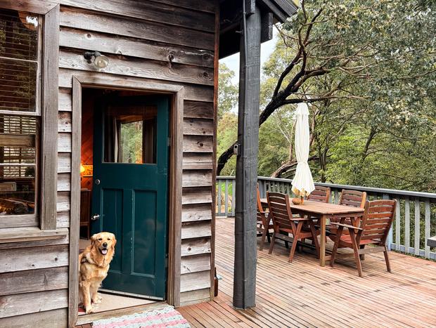 Photo 34 for Treehouse Tranquillity by the Water