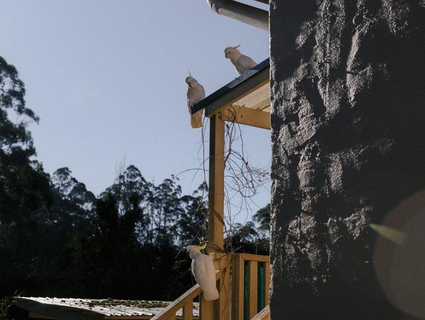 Photo 4 for The Little Forest Hideaway