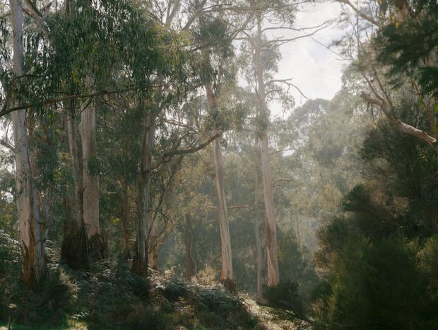 Photo 28 for The Little Forest Hideaway