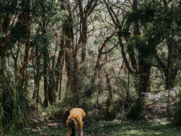 Photo 2 for Yoga & Meditation in the Forest