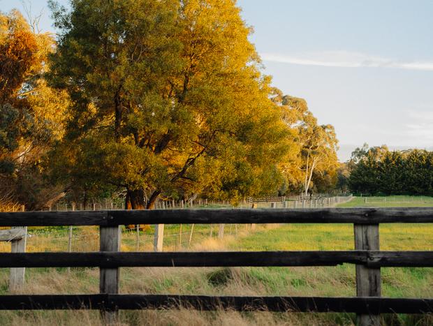Photo 15 for Farm Cottage in the Macedon Ranges
