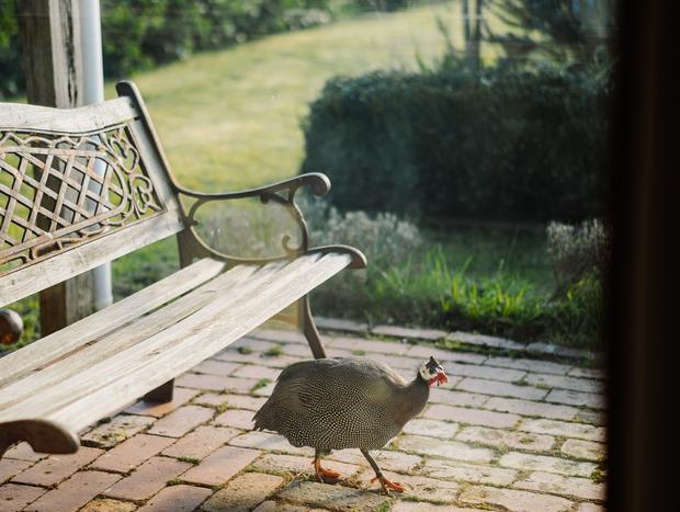 Photo 26 for Farm Cottage in the Macedon Ranges