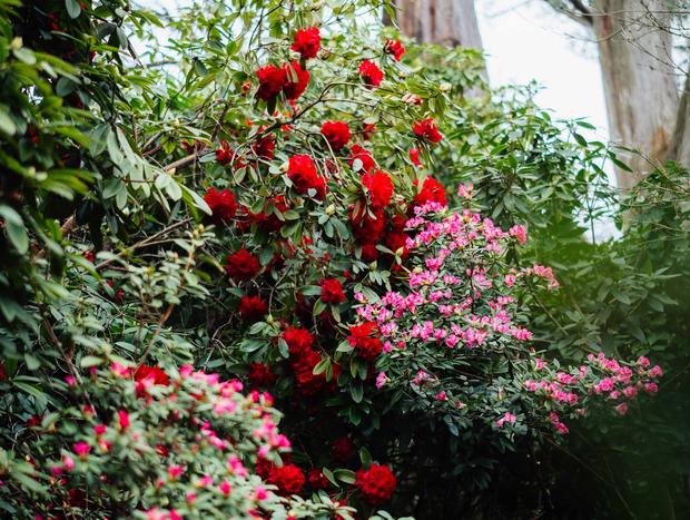 Photo 25 for Farm Cottage in the Macedon Ranges