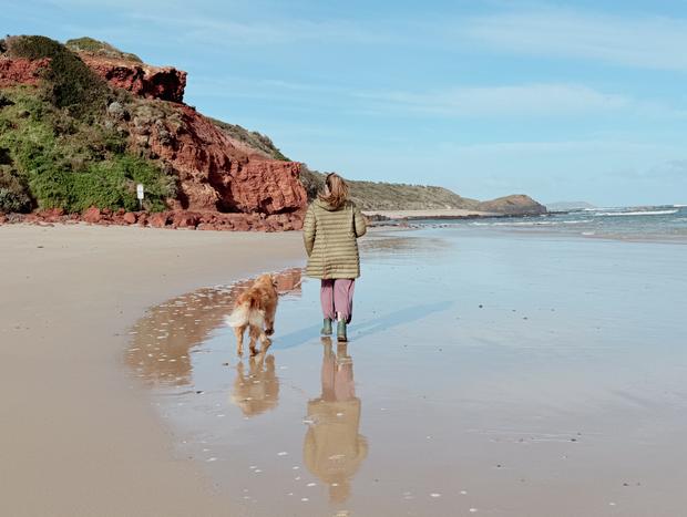 Photo 3 for Dog friendly Smiths Beach