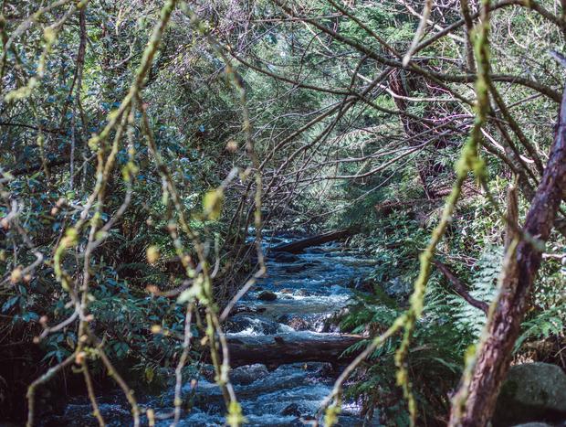 Photo 37 for A Little Wanderlust in Spring