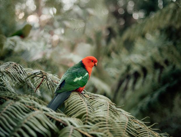 Photo 20 for Sunrise bathing and a nest in the hills