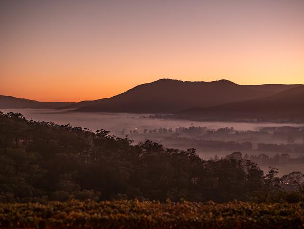 Photo 14 for Sunrise bathing and a nest in the hills