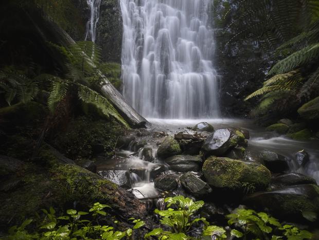 Photo 1 for Otways Cottage with Private Waterfalls and Ancient Rainforest