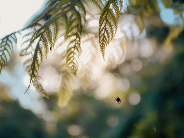 Photo 3 for Get amongst nature in Gruyere