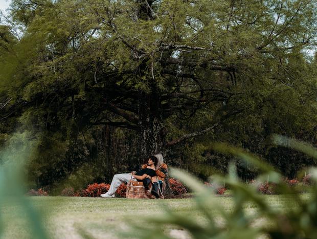 Photo 4 for Hilltop Farm Stay, Immersed in Nature