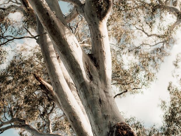 Photo 2 for undefined